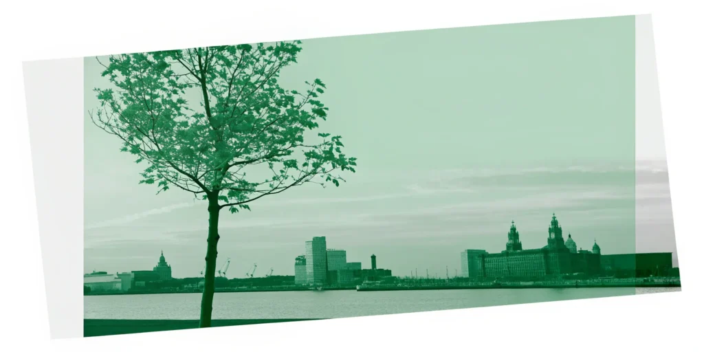 Growing investment portfolio towards a cityscape skyline.